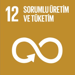 SKA 12 — Sorumlu Üretim ve Tüketim