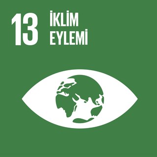SKA 13 — İklim Eylemi