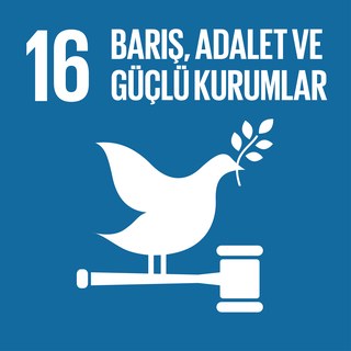 SKA 16 — Barış, Adalet ve Güçlü Kurumlar