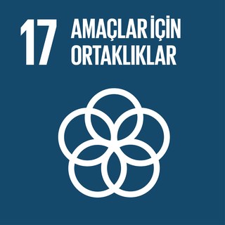 SKA 17 — Amaçlar için Ortaklıklar