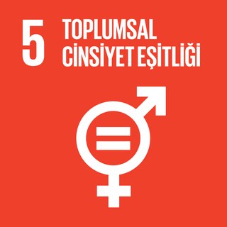 SKA 5 — Toplumsal Cinsiyet Eşitliği