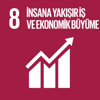 SKA 8 — İnsana Yakışır İş ve Ekonomik Büyüme