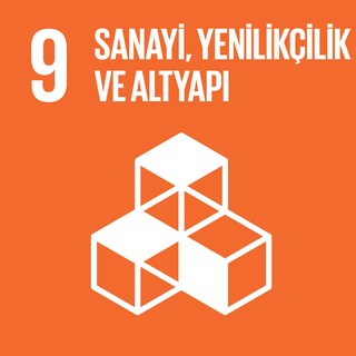 SKA 9 — Sanayi, Yenilikçilik ve Altyapı